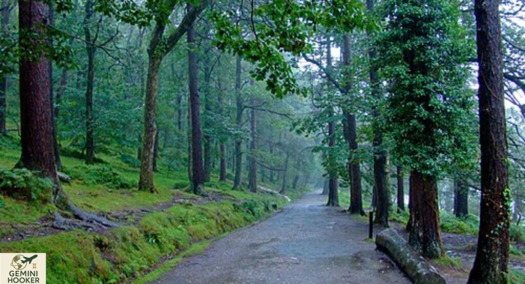 A Comprehensive Guide to Visit of Glendalough on Dublin