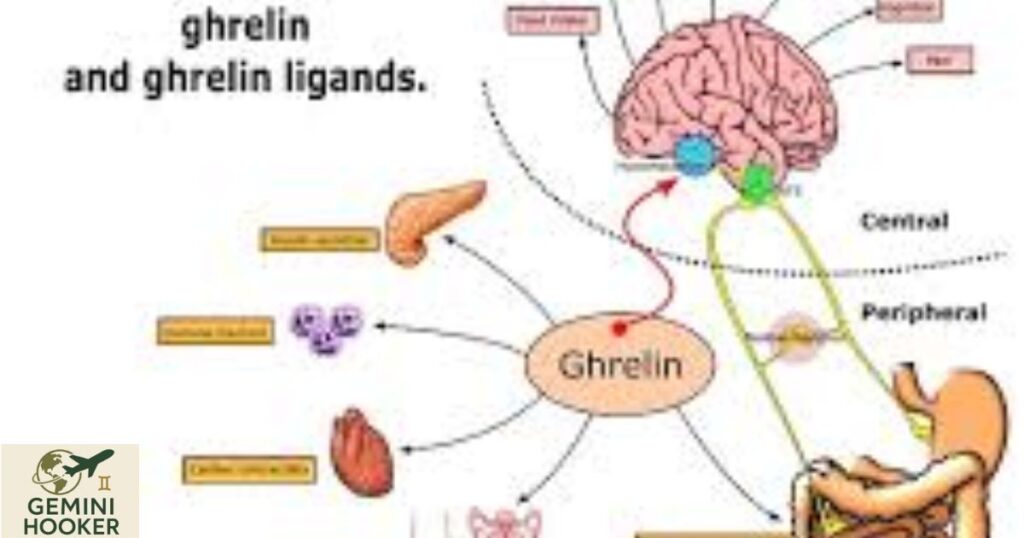 Conditioned Hunger: what are its mechanisms and how it affect