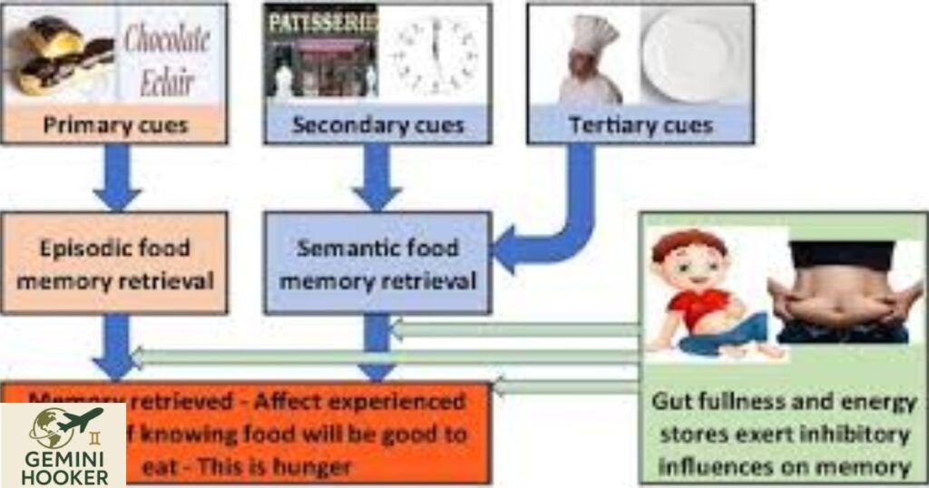 Conditioned Hunger: what are its mechanisms and how it affect