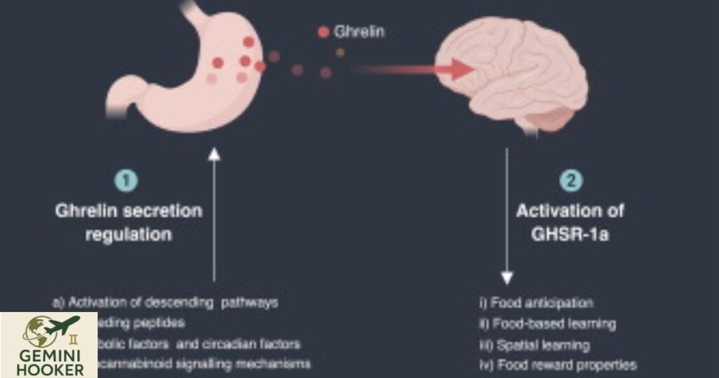 Conditioned Hunger: what are its mechanisms and how it affect