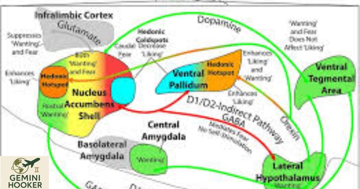 Conditioned Hunger: what are its mechanisms and how it affect