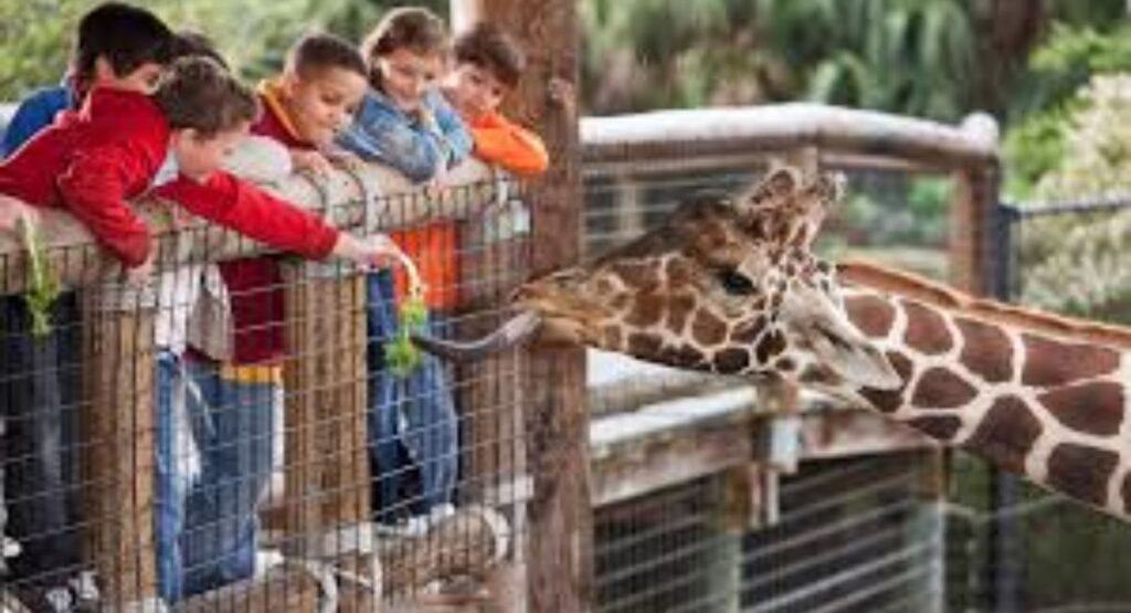 Hamburg with Kids: A full family travel guide (2025 Edition)