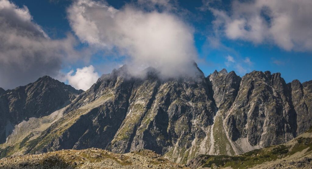 The final tour guide to Brica Travel Bassinet